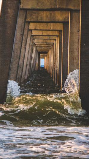 零距离泛目录官网营销截图3