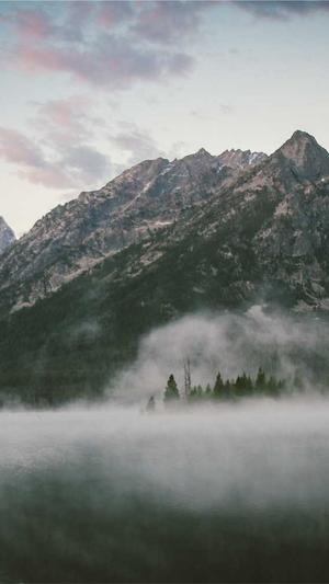 吉林省建设厅网站截图1