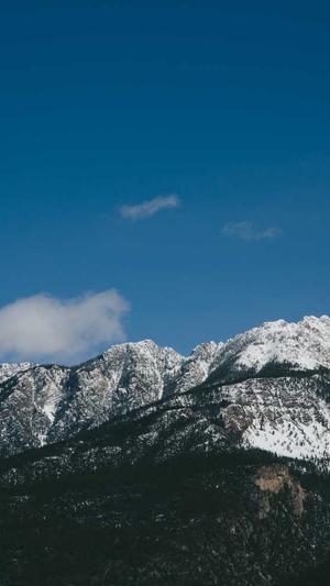 搜外蜘蛛池有用吗截图1