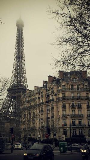 seo蜘蛛池源码截图2