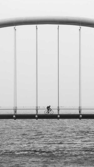 迈步者seo论坛截图2