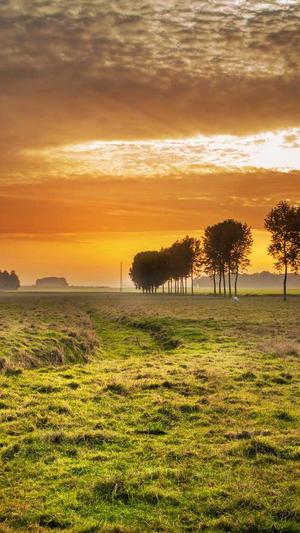 报价网站建设截图2