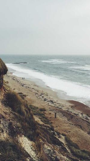 上海网站建设youhua168截图4