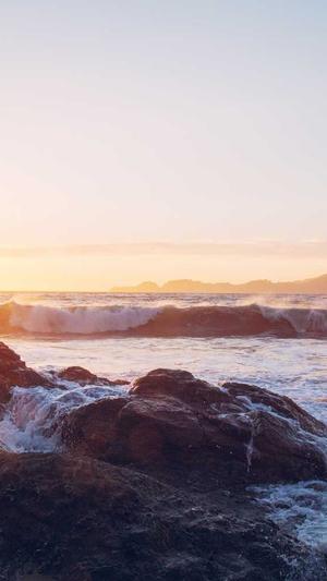 泉州seo博客信乐林截图1