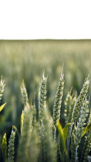 北京网站建设公司截图4