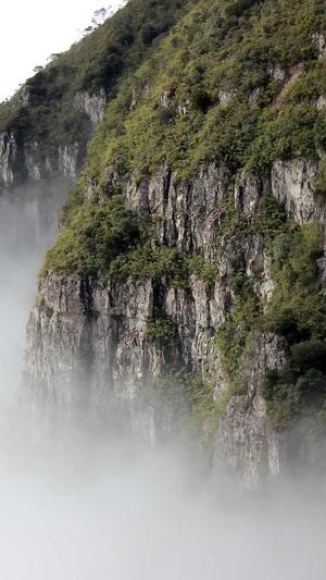 重庆网站seo优化排名截图3