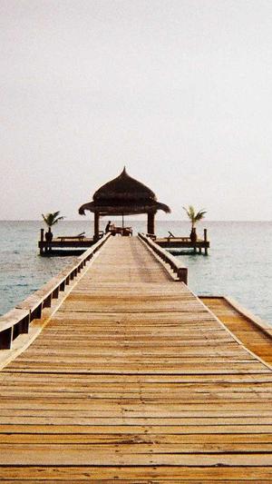 深圳谷歌seo工具截图3