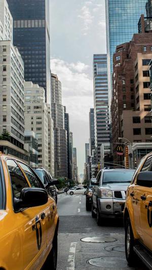 seo快速工具找超快排截图5