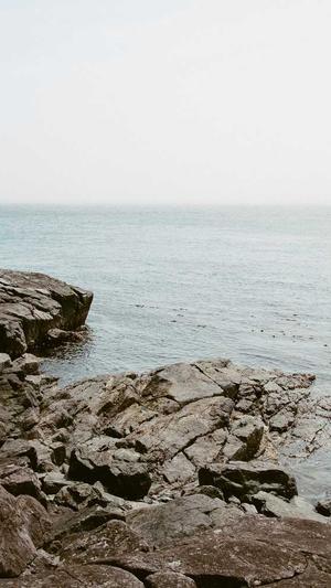 逆冬蜘蛛池完整版截图2