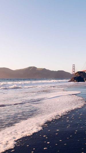 蜘蛛池的功能和作用截图2