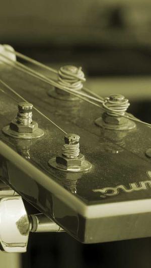 易站蜘蛛池截图2