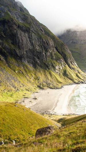 行业网站建设截图1