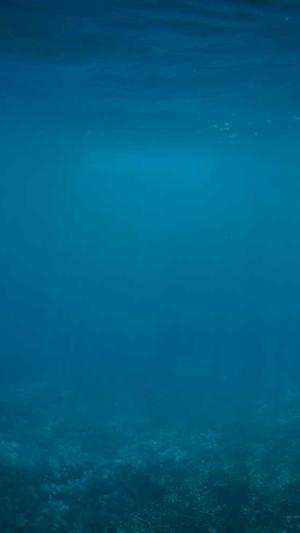 丈哥seo博客工具截图1