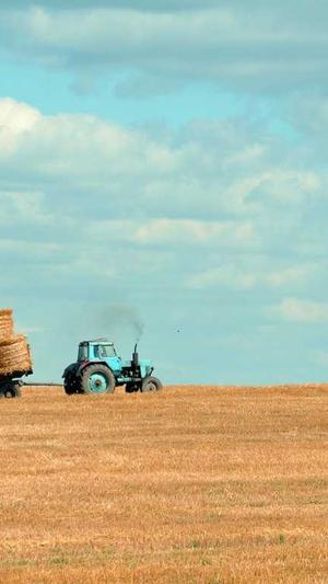 购买蜘蛛池截图1