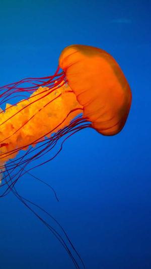 百度seo教程截图2