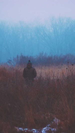 无锡seo排名工具截图2