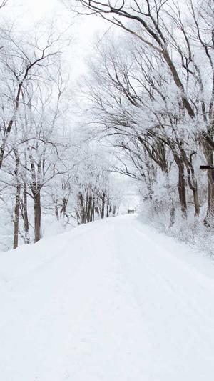 seo收录工具截图3