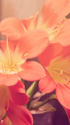 泛目录什么意思截图1