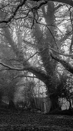 中国建设部官方网站截图2