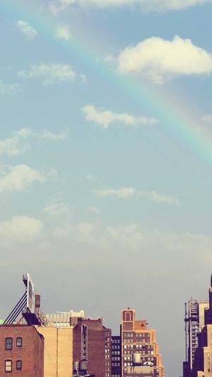 青海蜘蛛池出租包月截图2