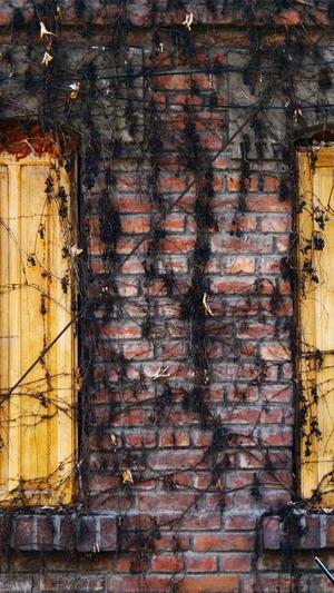 蜘蛛池原理是什么样的截图2