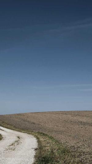 网站建设模板截图2