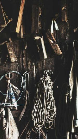 长春seo优化截图1