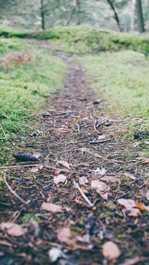 网站seo分析工具截图3