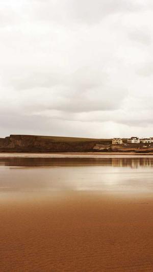 seoer 蜘蛛池截图4