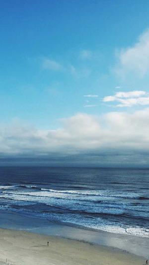 免费seo网站诊断截图2