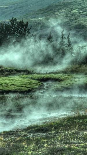 蜘蛛池的功能和作用截图3