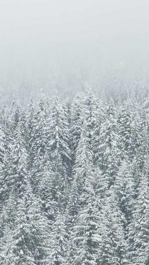 seo排名优化工具截图3