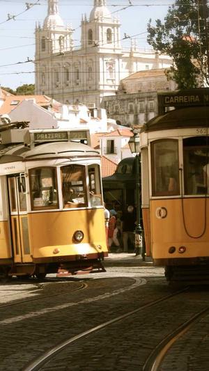 泛目录站群软件建站截图2