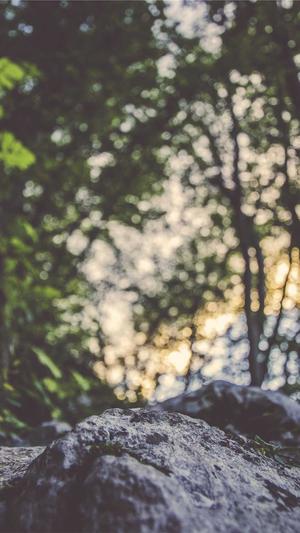 蜘蛛池在什么位置好截图3