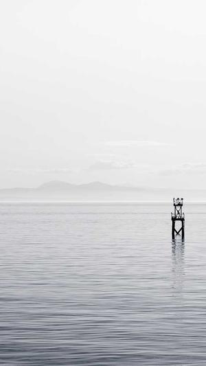 快速网站建设截图3