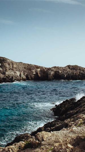 在线seo优化工具截图2