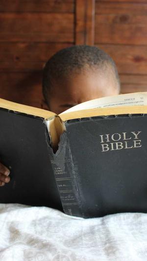 泛目录单页模板截图2