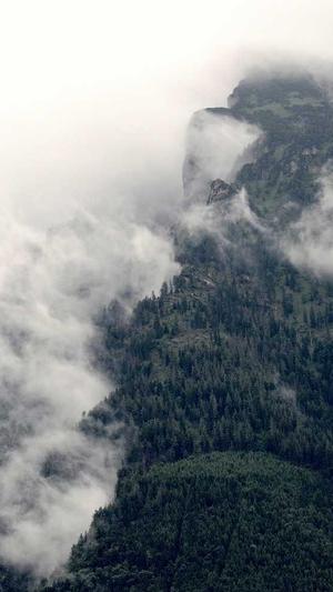 php泛目录站群截图5