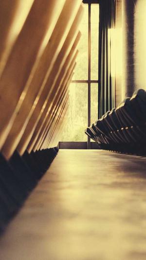 上海蜘蛛池租用截图2