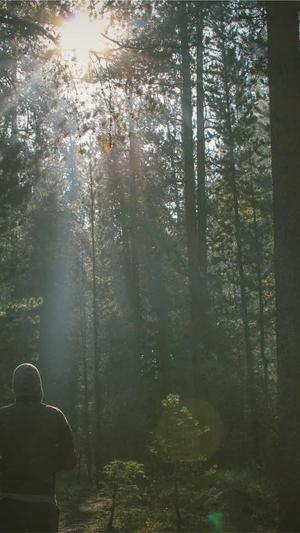 泛目录是什么推广渠道截图5