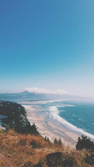 重庆网络seo截图4